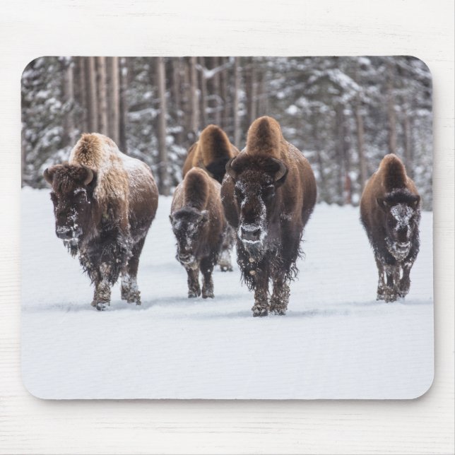 Buffalo Mousepad (Vorne)