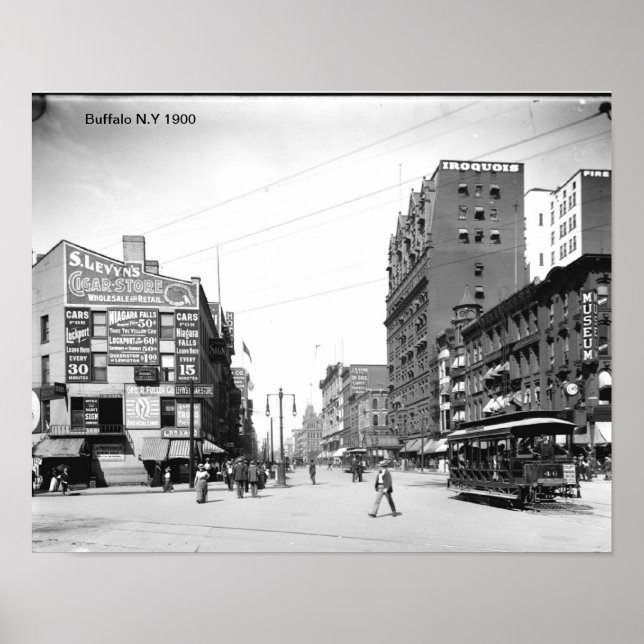 Buffalo N.Y  Print Poster (Vorne)