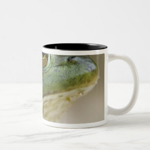 Buffalo National River, Nordwest-Arkansas Zweifarbige Tasse