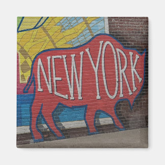 Buffalo New York Magnet