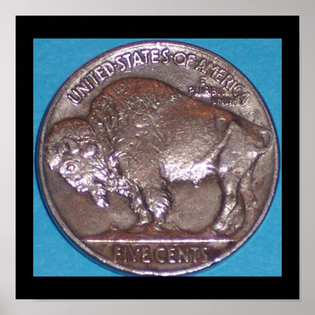 BUFFALO NICKLE POSTER (Vorne)