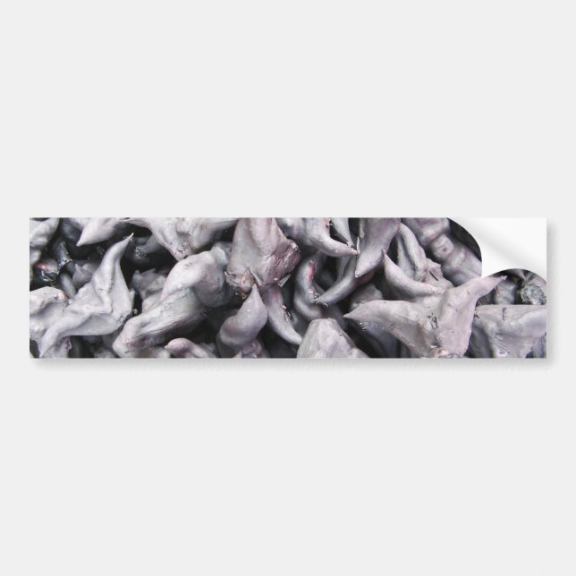 Buffalo Nuts - Water Caltrop Autoaufkleber (Vorne)