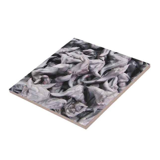 Buffalo Nuts - Water Caltrop Fliese (Seite)