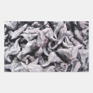 Buffalo Nuts - Water Caltrop Rechteckiger Aufkleber
