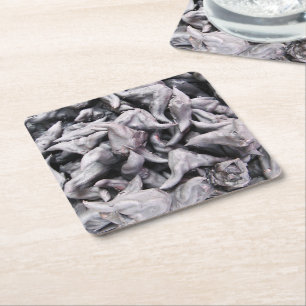 Buffalo Nuts - Water Caltrop Rechteckiger Pappuntersetzer