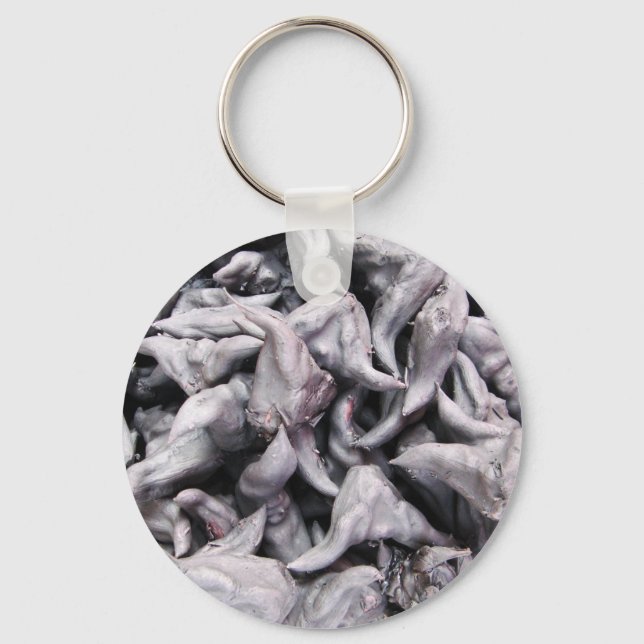 Buffalo Nuts - Water Caltrop Schlüsselanhänger (Vorderseite)