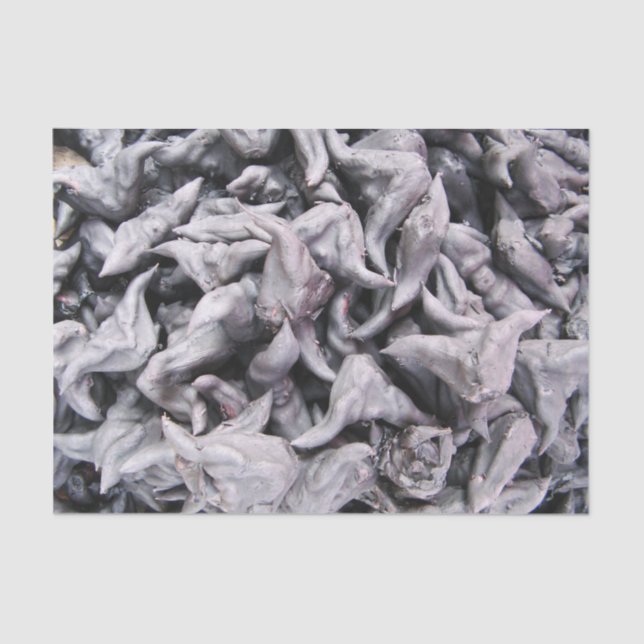 Buffalo Nuts - Water Caltrop Seidenpapier (Vorderseite)