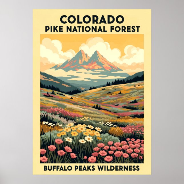 Buffalo Peaks Wilderness V01 Poster (Vorne)