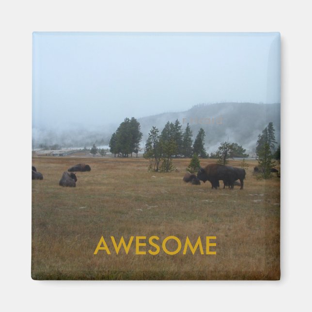 Buffalo Phantastisch Magnet (Vorne)