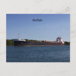 Buffalo Postcard Postkarte