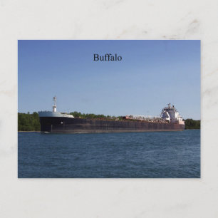 Buffalo Postcard Postkarte