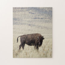 Buffalo-Puzzle