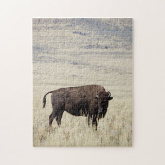 Buffalo-Puzzle