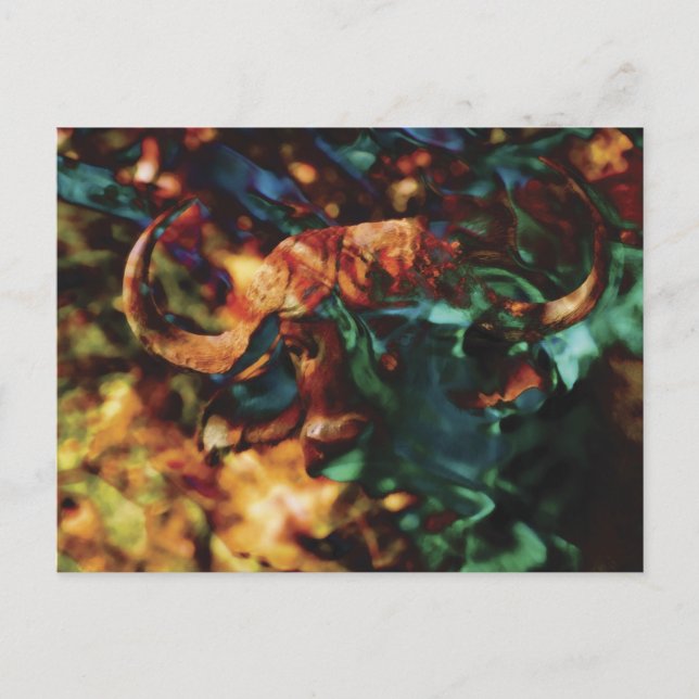 Buffalo Ripple Art Postkarte (Vorderseite)