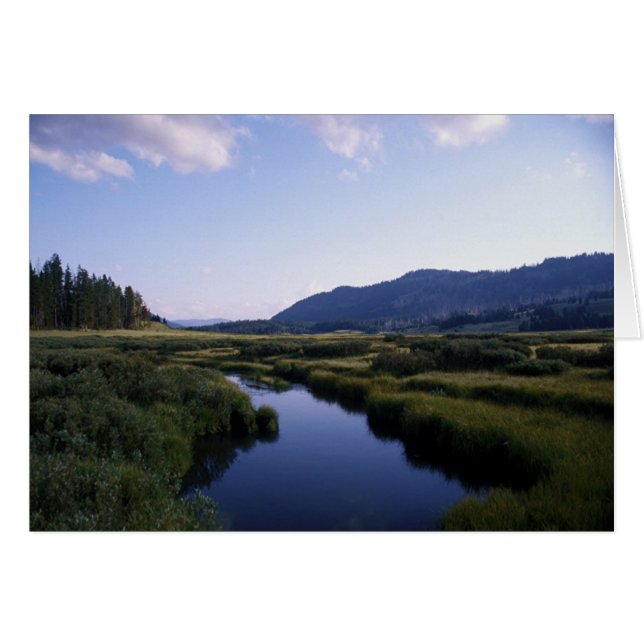 Buffalo River, North Fork Wy. (Vorderseite (Horizontal))