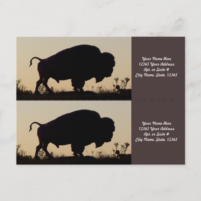 Buffalo Silhouette Bookmarkers Postkarte (Vorderseite)