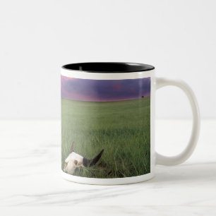 Buffalo Skull in Prairie Grass bei Medora Zweifarbige Tasse