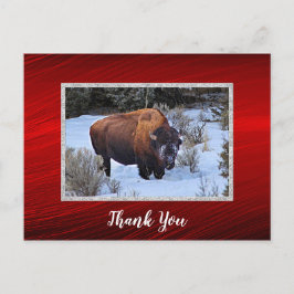 Buffalo Snow Foto Vielen Dank Postkarte