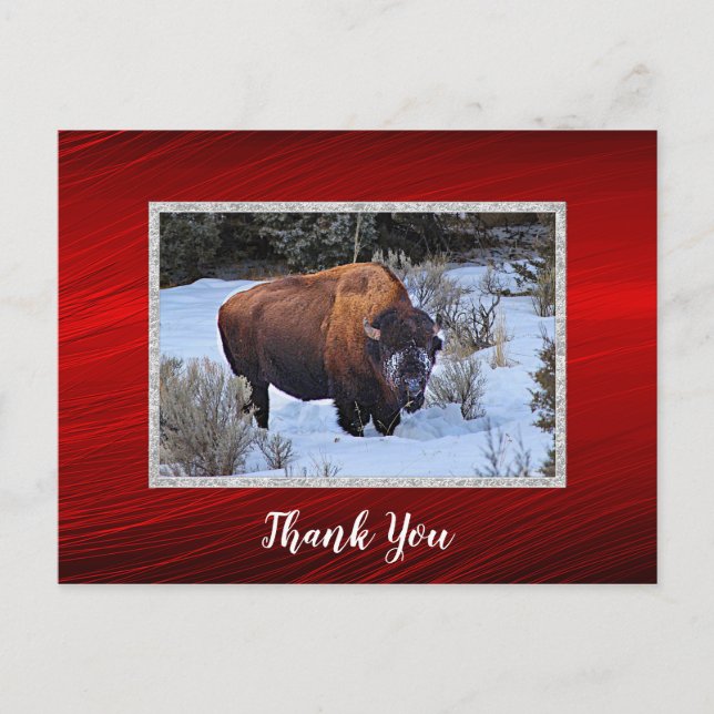 Buffalo Snow Foto Vielen Dank Postkarte (Vorderseite)