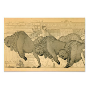 Buffalo Stampede, Savage Iowa, 1923 von Grant Wood Fotodruck