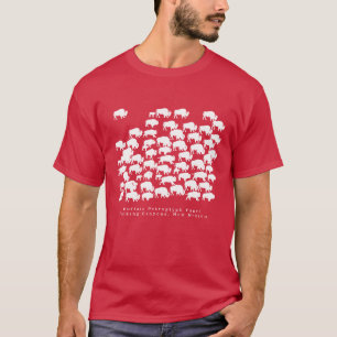 Buffalo T - Shirt