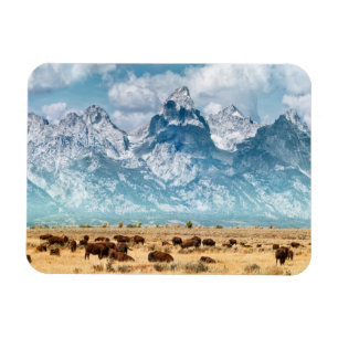 Buffalo Unterhalb des Grand Teton Mountains Magnet