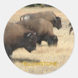 Buffalo Yellowstone Sticker