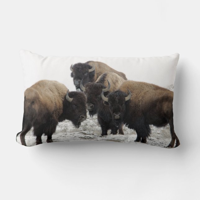 Büffel-Bison-dekoratives Wurfs-Kissen Lendenkissen (Vorderseite)
