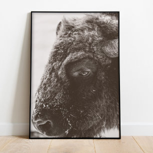 Büffel Bison Druck Poster