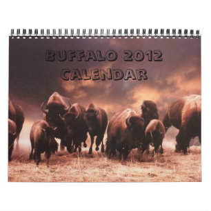 Büffel-Kalender 2012 Kalender