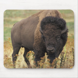 Büffel Mousepad