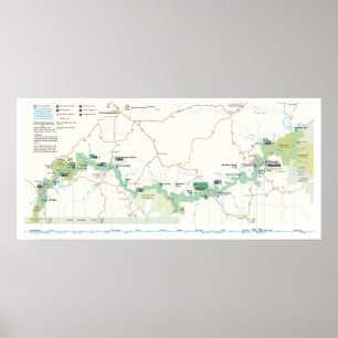 Büffel-Staatsangehörig-Fluss Poster