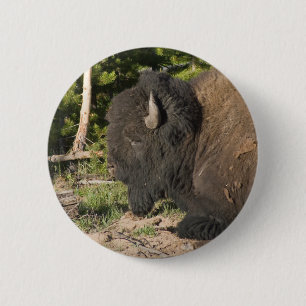 Büffel-stillstehender Knopf Button