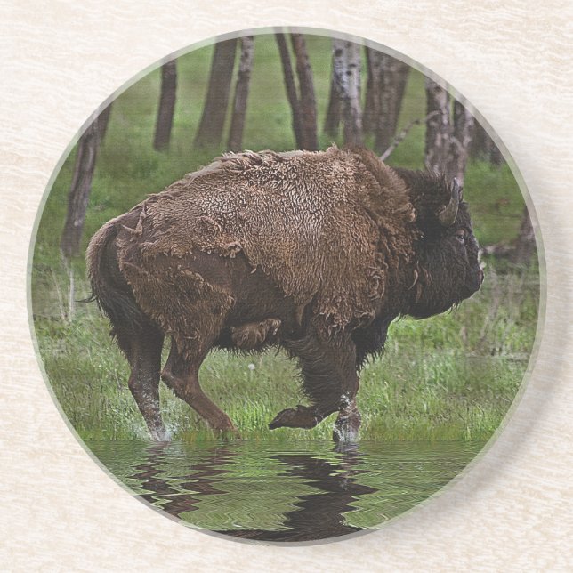 Büffel und Wald, Bison-Liebhaber Design Getränkeuntersetzer (Vorne)