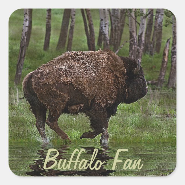 Büffel und Wald, Bison-Liebhaber Design Quadratischer Aufkleber (Vorderseite)