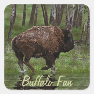 Büffel und Wald, Bison-Liebhaber Design Quadratischer Aufkleber