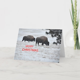 Büffel-Weihnachten Feiertagskarte