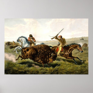 Büffeljagd in den USA Poster
