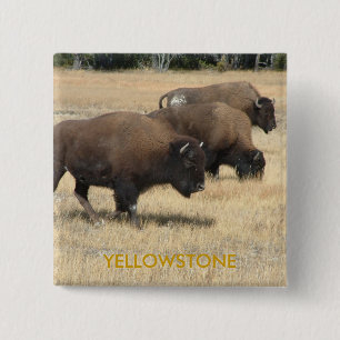 Büffelyellowstone-Knopf Button