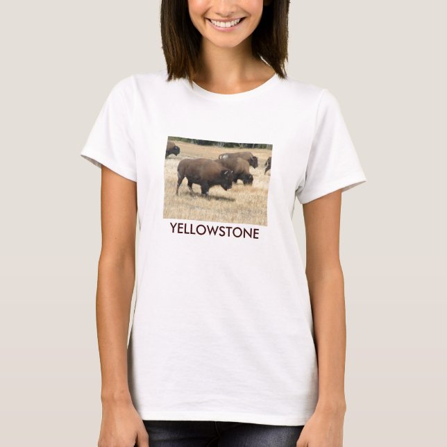 Büffelyellowstone-T - Shirt (Vorderseite)