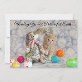 Buffington's Ostersonne - Katze - Flachkarte Feiertagskarte