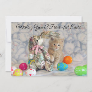Buffington's Ostersonne - Katze - Flachkarte Feiertagskarte