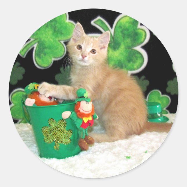 Buffington's St. Patrick's Day Cat / Kitten Runder Aufkleber (Vorderseite)