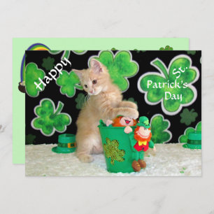 Buffington's St. Patrick's Day Flat Card - Katze