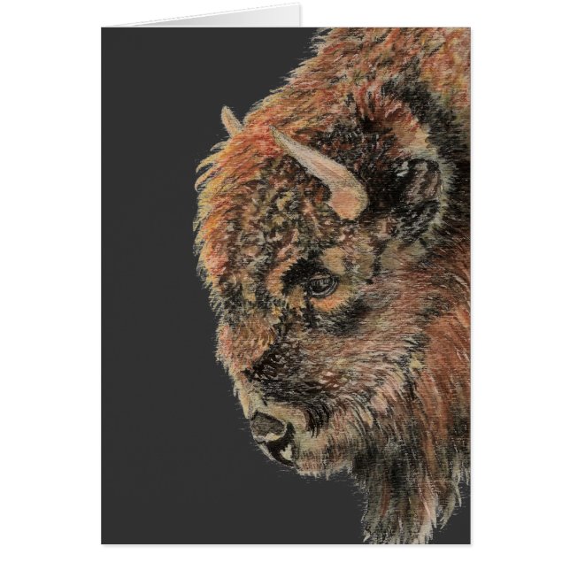 Buffle, bison, aquarelle (Devant)