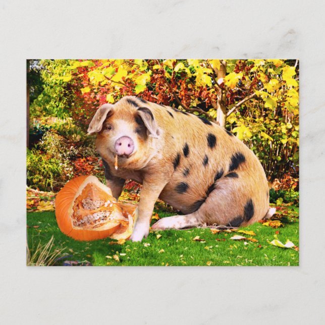 "Buffy's Pumpkin"  Postkarte (Vorderseite)