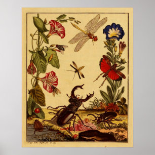 Bug 1764 poster