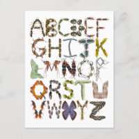 Bug Alphabet Kids Insect Thema ABC