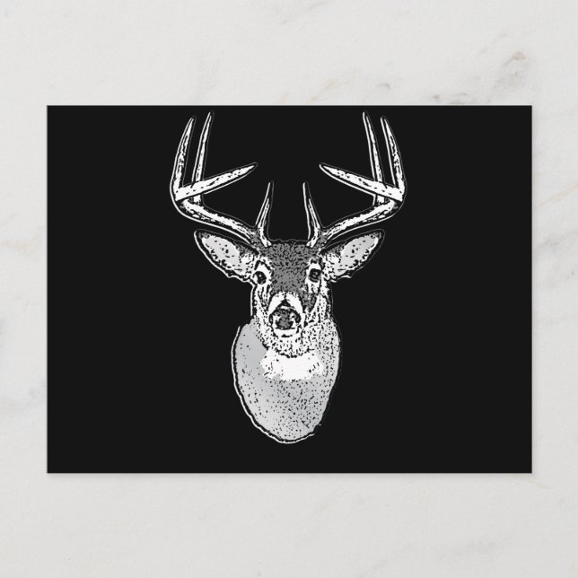 Bug auf Schwarz-weißen Schwanz Hirsch Kopf Postkarte (Vorderseite)