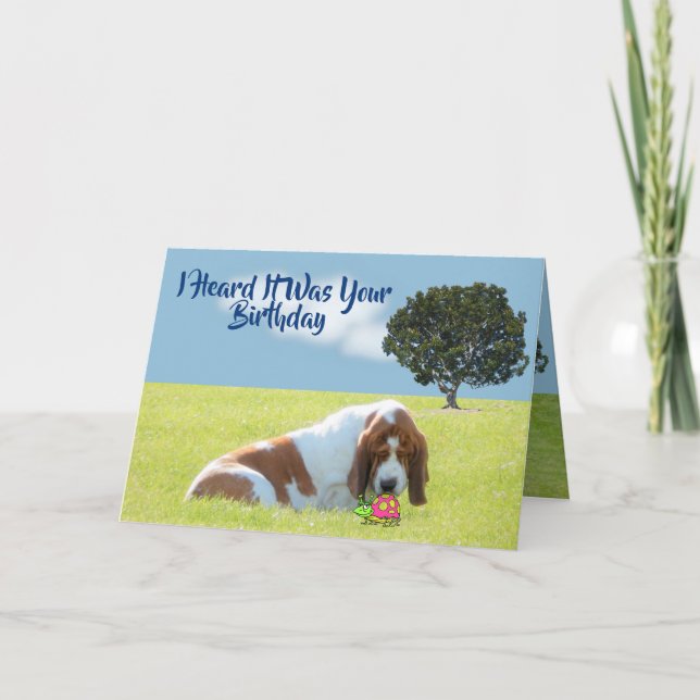 Bug & Basset auf Funny & Niedliche Geburtstag Card Karte (Vorderseite)